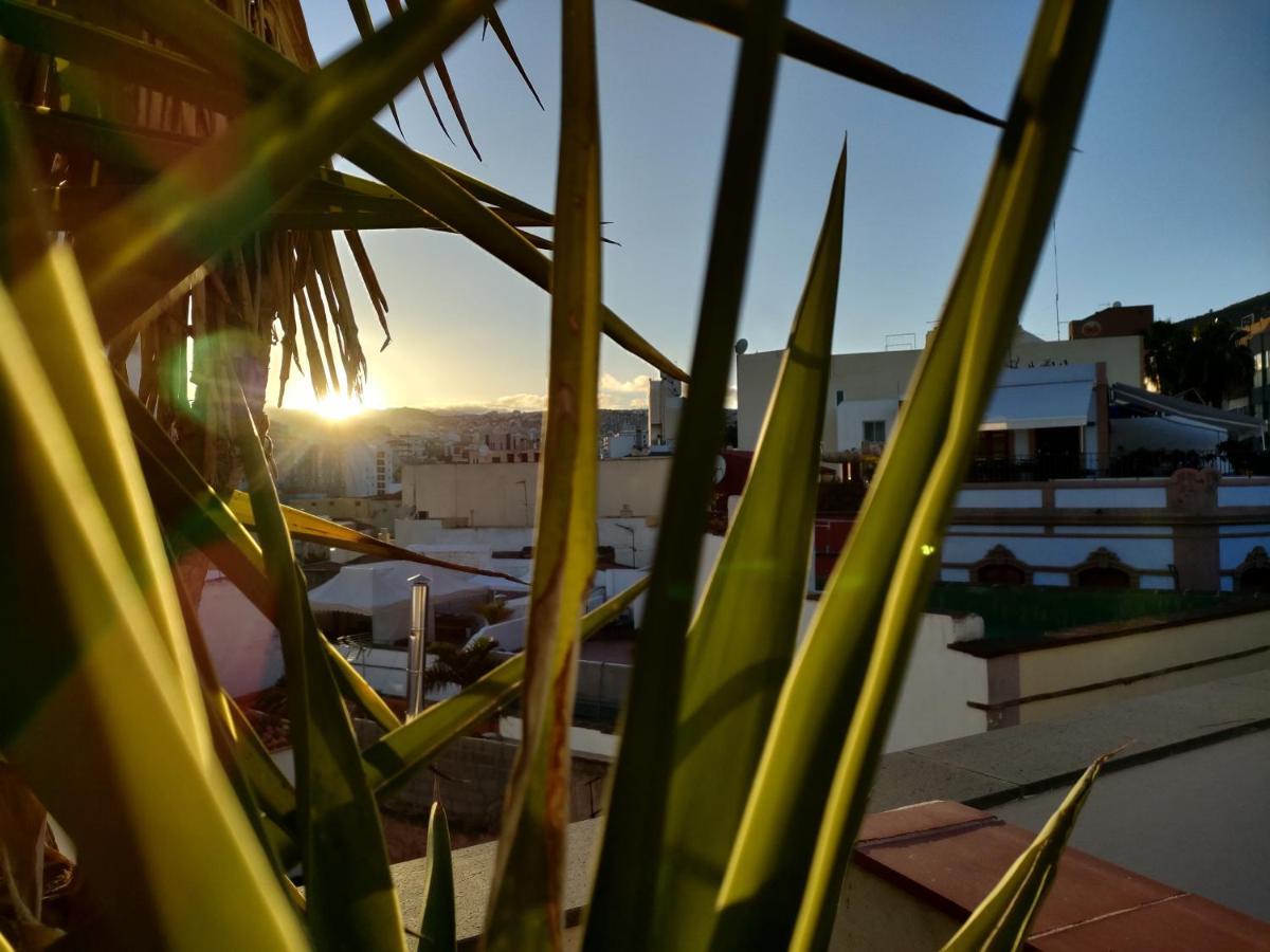 Terraza Del Atlantico, Un Oasis En La Ciudad Apartment Santa Cruz de Tenerife Ngoại thất bức ảnh